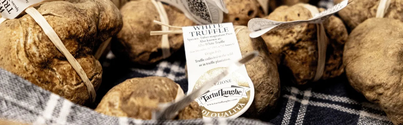 Tartuflanghe Manufaktur in Alba, Spezialist für Weißen Trüffel und innovative Gourmet-Produkte.