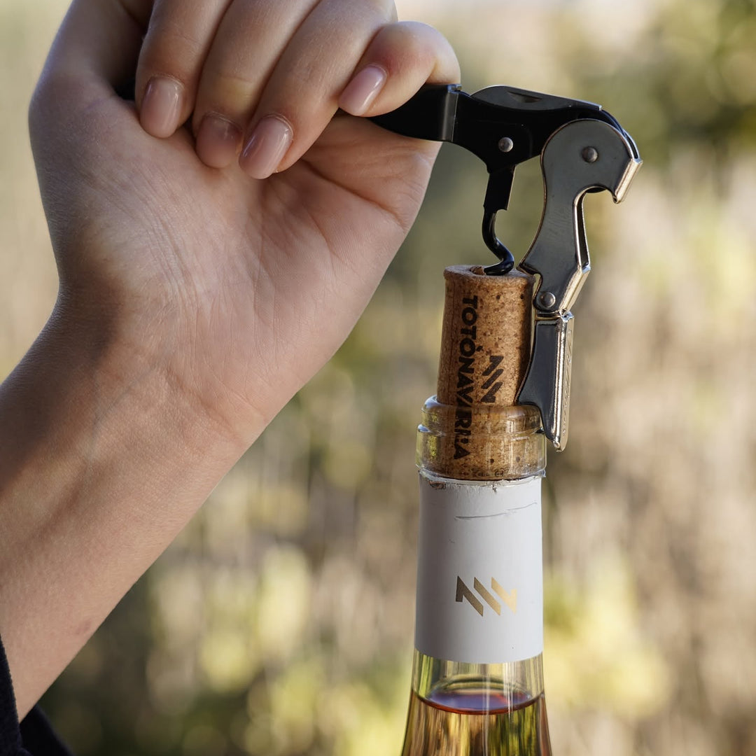 Kinora – Sizilianischer Weißwein Catarratto