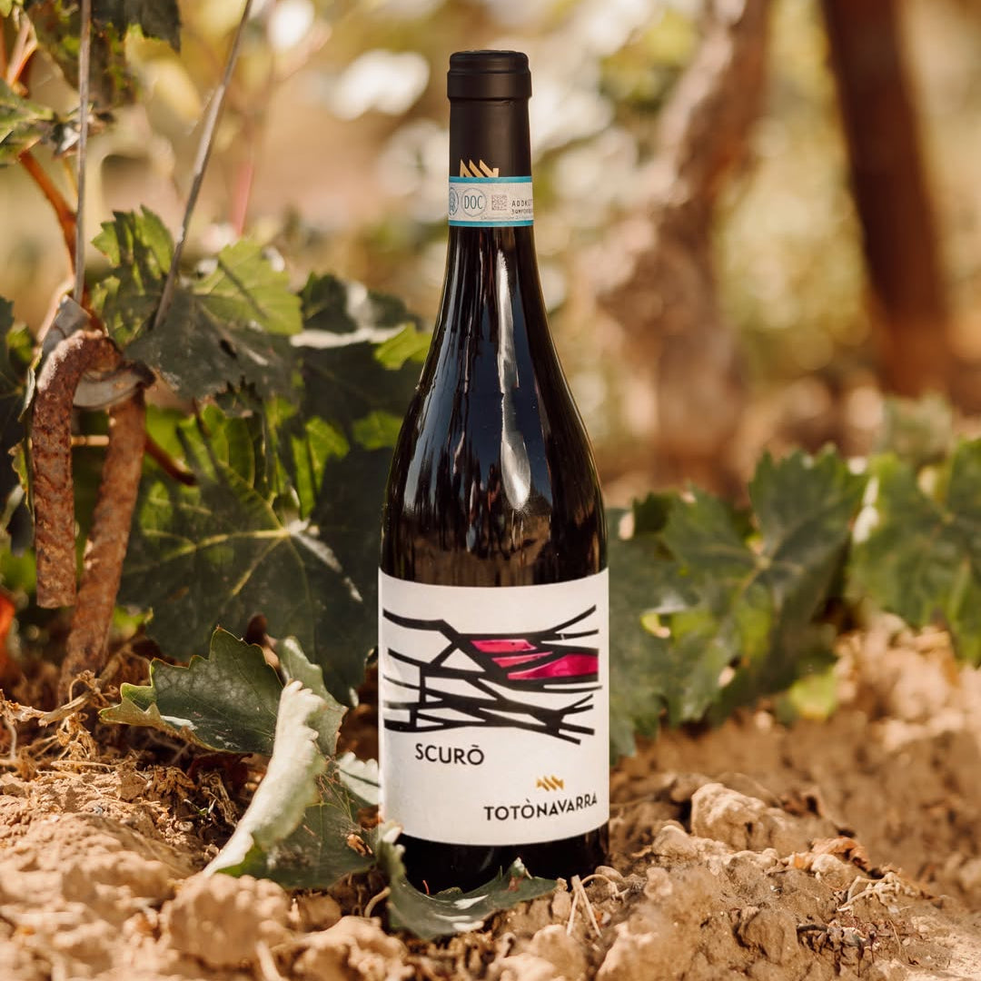Scurò – Sizilianischer Rotwein Nero d'Avola