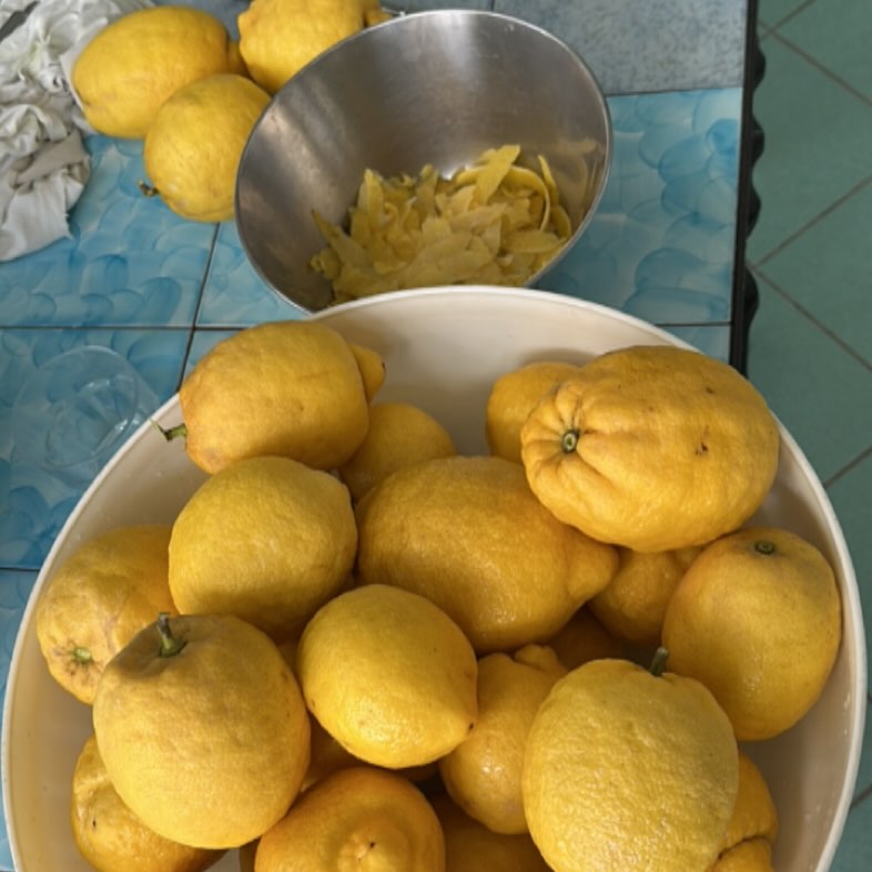 Zitrone aus Capri