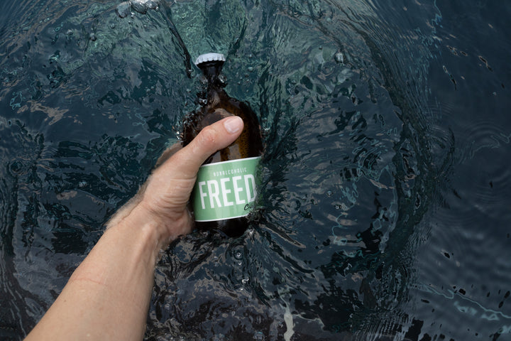 FREEDL Calma alkoholfreies Craft Beer Pale Ale mit Bergbasilikum aus Südtirol.