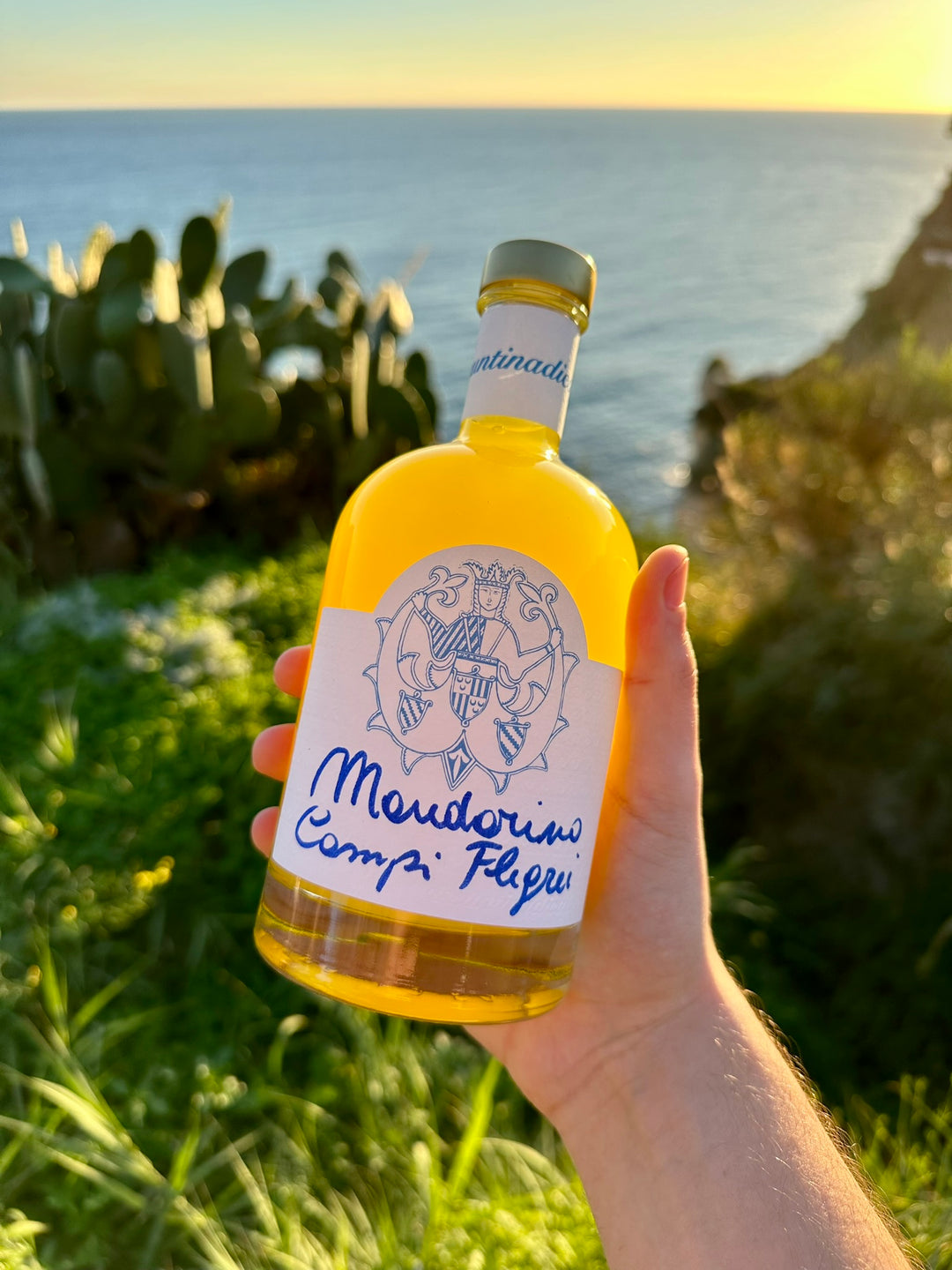 Mandarino dei campi Flegrei