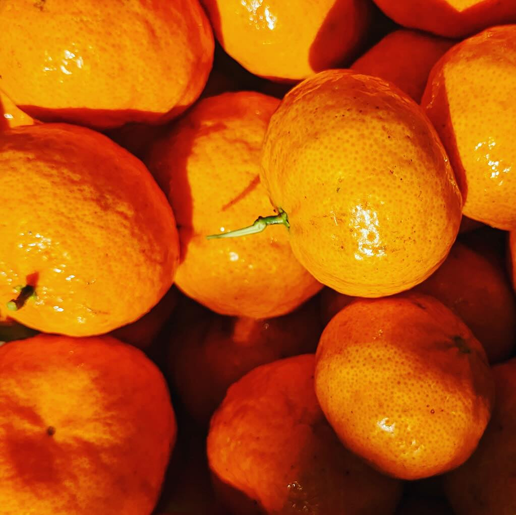 Handgemachter goldener Mandarinenlikör aus den Campi Flegrei von Assuntina di Capri.