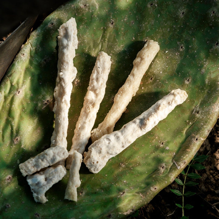 Manna aus Sizilien – traditionelle Ernte in den Madonie, Castelbuono